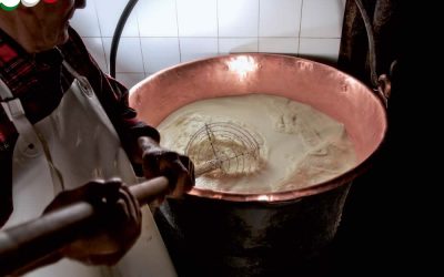 Saiba como se faz o queijo Asiago – vídeo