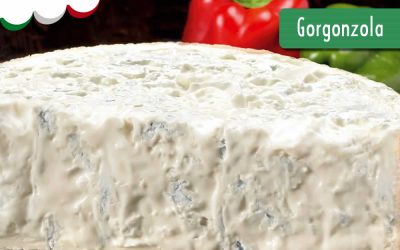 GORGONZOLA – DOP