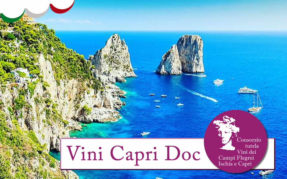 VINHOS CAPRI – DOC