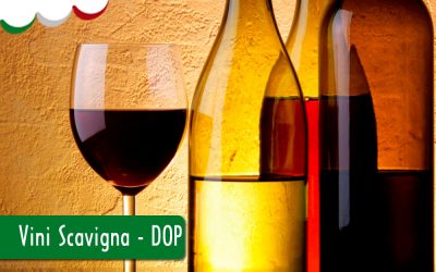 VINHOS SCAVIGNA – DOC