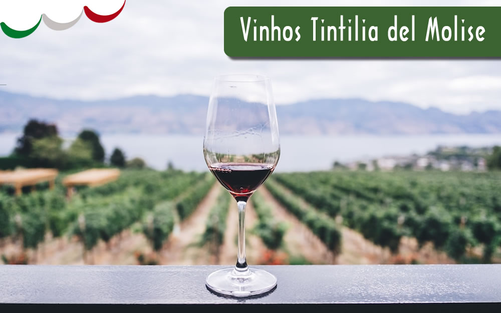 Vinhos Tintilia del Molise – DOC