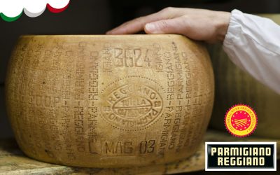 PARMIGIANO REGGIANO – DOP