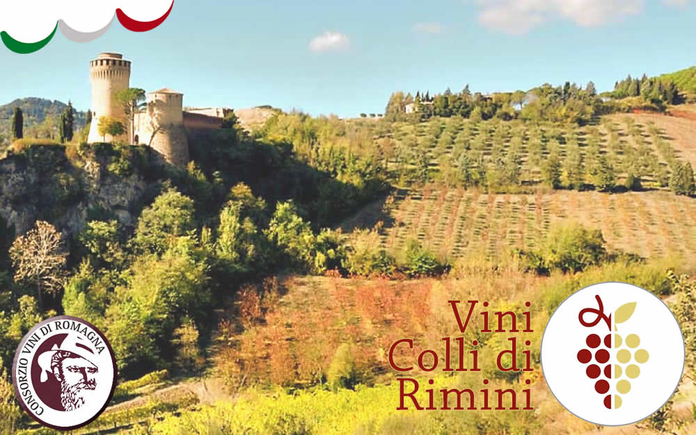 VINHOS COLLI DI RIMINI – DOC